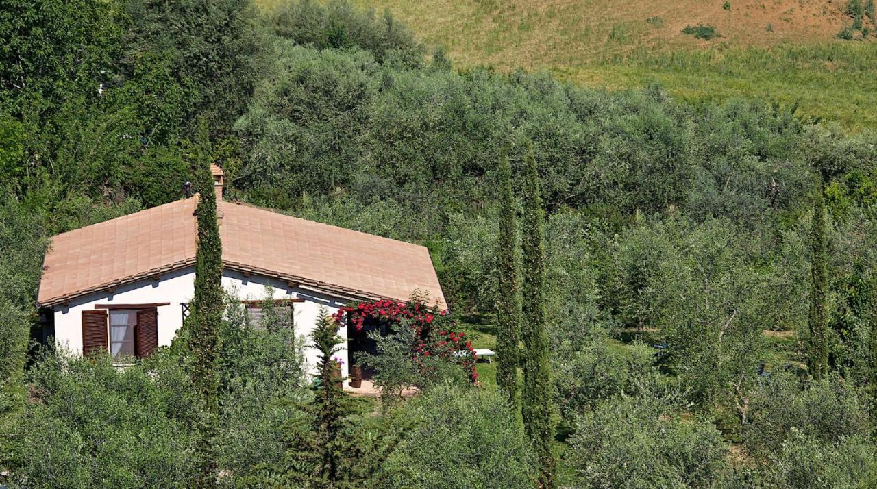 Fonte Del Salcio Holiday home *