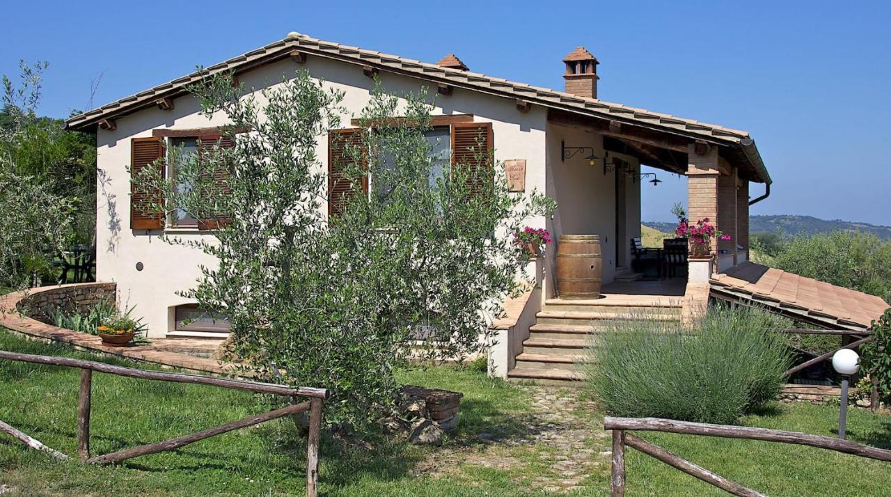 Fonte Del Salcio Cinigiano