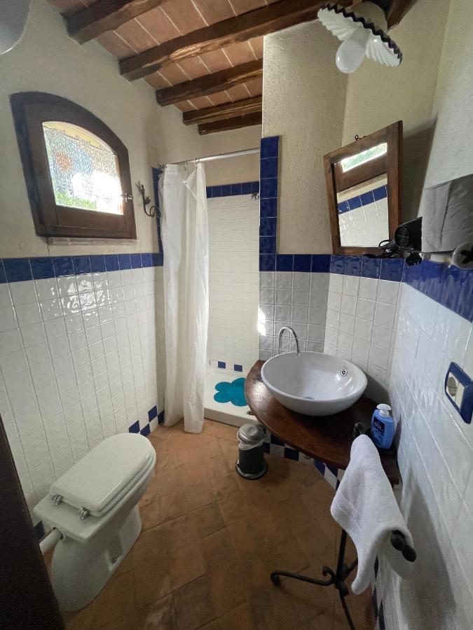 Fonte Del Salcio Holiday home Cinigiano
